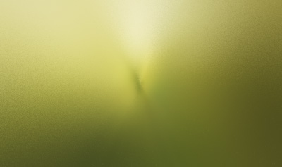 Jiaxing Mingda Biological Energy Co., Ltd.